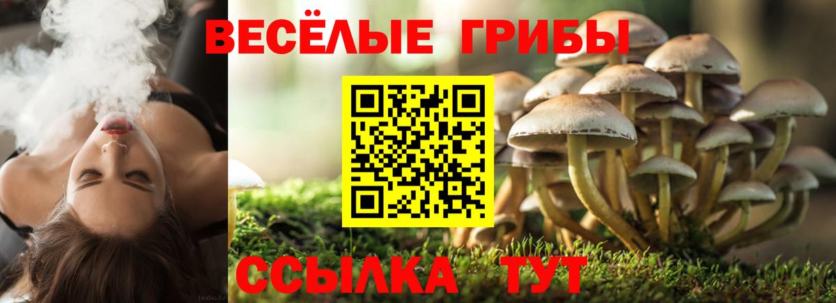 Кунгур  Галлюциногенные грибы MAGIC MUSHROOMS  Вход с VPN 